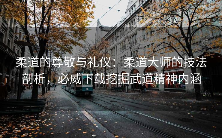 柔道的尊敬与礼仪：柔道大师的技法剖析，必威下载挖掘武道精神内涵
